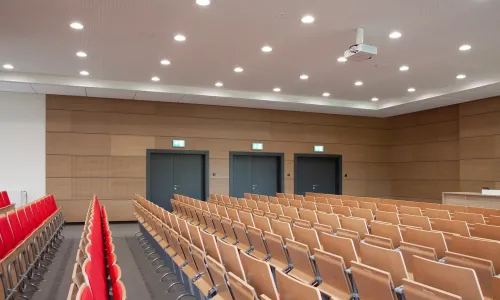 Sala audytoryjna - zabudowa panelami akustycznymi ścian